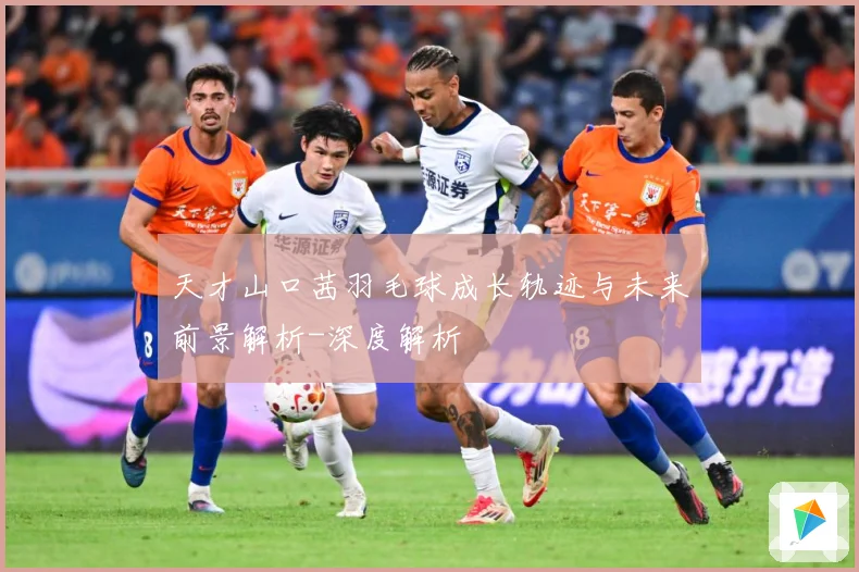 天才山口茜羽毛球成长轨迹与未来前景解析-深度解析